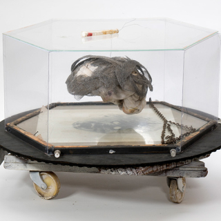 1990-2010 wood, Xerox, cloth, metal screen, casters, acrylic, plexiglass 12” x 17” x 17”